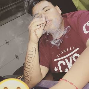 Meet your Posher, Cesar